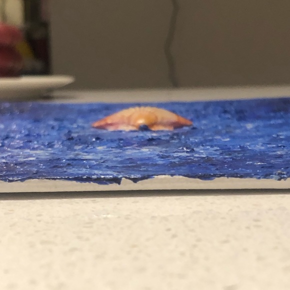 Ocean 🌊 Sea Art Handmade: Acrylic & Shell - Picture 8 of 16